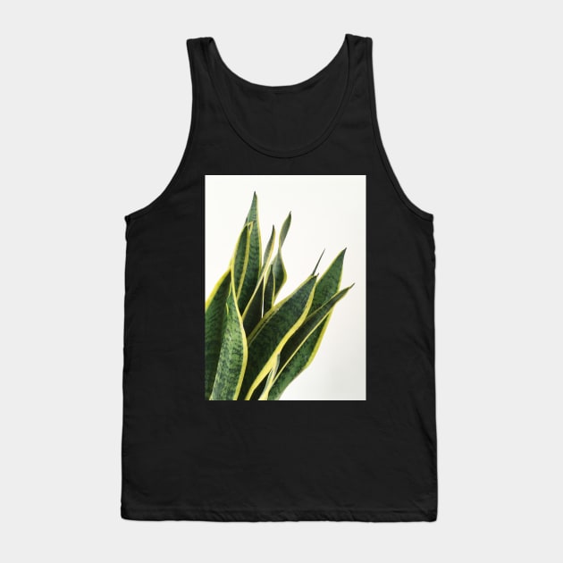 Sansevieria Tank Top by Cassia